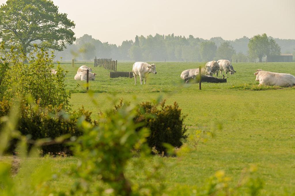 Domein Het Weiland Damme Zewnętrze zdjęcie